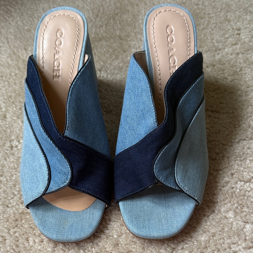 Coach Women's Denim and Navy Mules